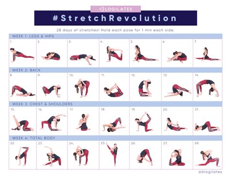 Stretching Exercise Chart 的图像结果