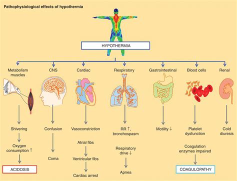 Stages Of Hypothermia And Effects – TPFA
