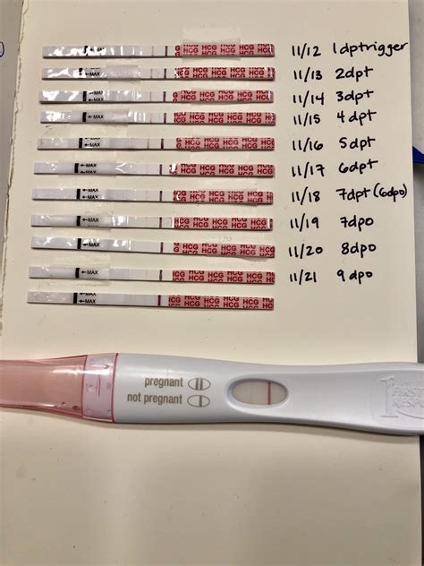 10dpo Wondfo and FRER, testing our trigger.. now 11dpt, is this just ...