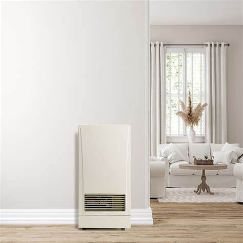 Rinnai 11000-BTU Wall-Mount Indoor Liquid Propane Convection Heater in ...