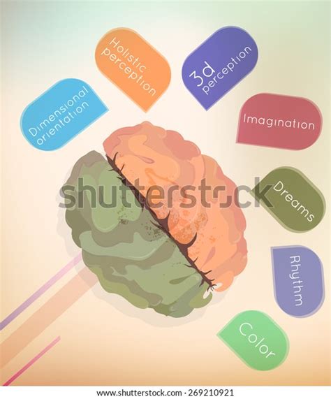 Left Right Hemisphere 的图像结果