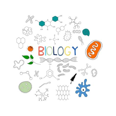 Biology Doodle Art 的图像结果