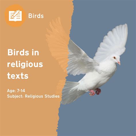 Birds in Religious Texts | Outdoor Lesson Idea by Learning through ...
