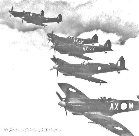 Image result for Spitfire Color Schemes