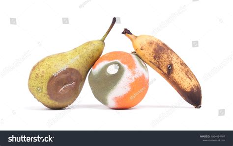 Image result for Rotting Problem