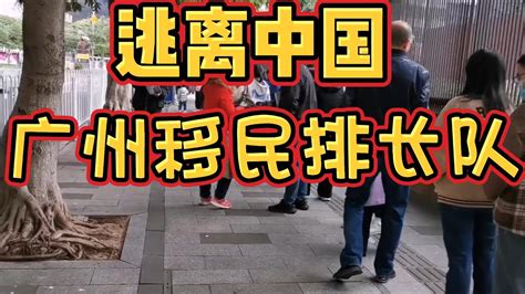 广州街头现移民潮，清晨就排起长队。移民签证像春运。大家都在逃离中国。穷人在墙内每天赚得碎银几两！ #广州 #guangzhou #移民 #中国 #逃亡 #中国新闻 （20221206第107 ...