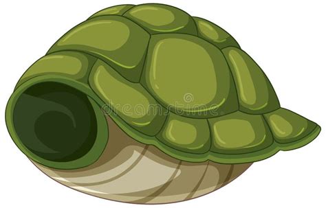 Image result for Roblox Turtle Shell Texture