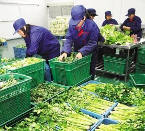 企业|优鲜多歌打造预制菜产业园-中国合作贸易企业协会