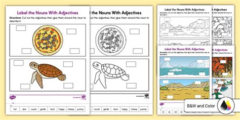 First Grade Label the Nouns With Adjectives Cut and Paste Worksheet