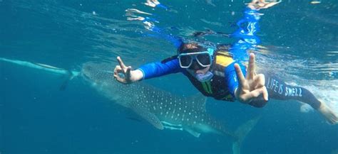 Top 10 Cebu Outdoor & sports activities 2023 - Klook India