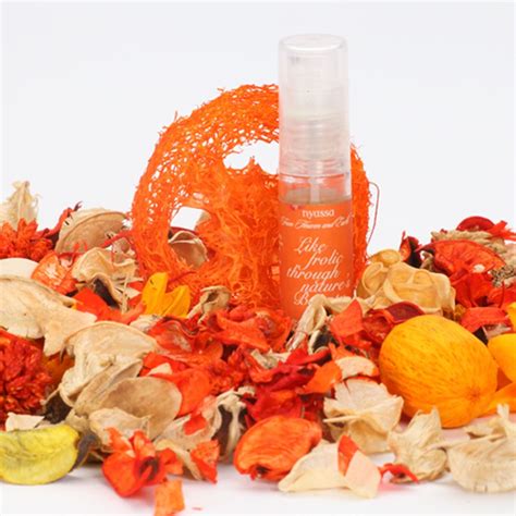 Like Frolic Through Nature's Bounty Potpourri Gift Bag – Nyassa