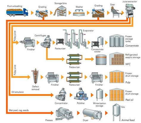 Process Fruit 的图像结果