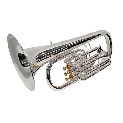 Image result for Baritone Instrument