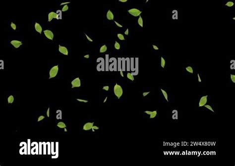 Image result for Fall Background Video Loop