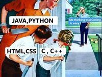 Image result for Python Coder PFP