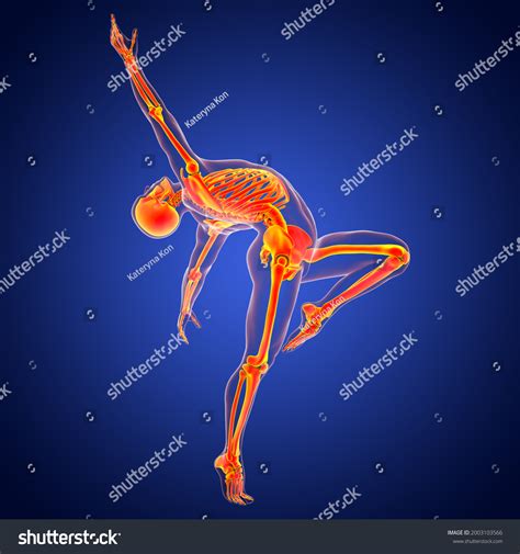 Image result for Skeleton Ballet