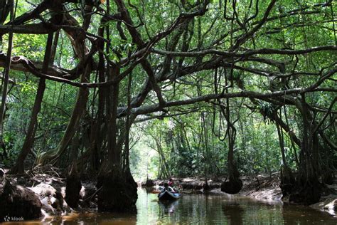 Khao Lak's Little Amazon, Kayak, Trek, and Waterfall Day Trip - Klook India