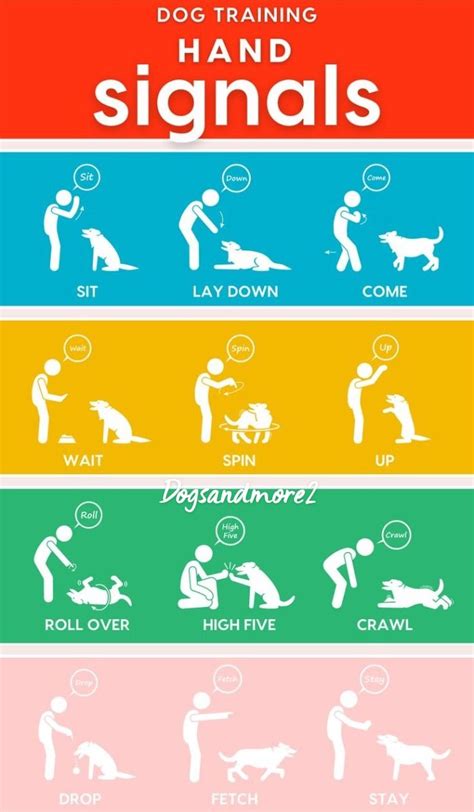 Image result for Wait Hand Signal for Dogs