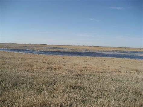 Easement in wetland | FWS.gov