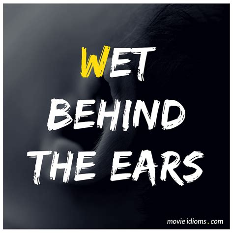 Wet Behind the Ears: Idiom Meaning & Examples - Movie Idioms