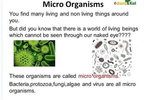 Prepare the presentation in the notebook about Microorganisms. - Brainly.in