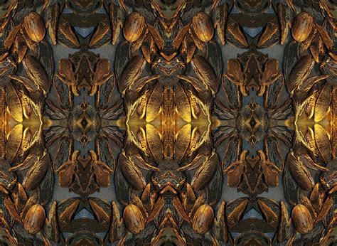 Pecan Nut And Shell Repeat Pattern Free Stock Photo - Public Domain ...