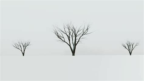 Image result for Visual Journey Animation