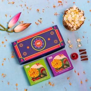 Help Us Green Diwali Gift Hamper (2 Dhoop Cone Boxes) : Amazon.in: Home ...