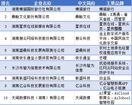 2020年湖南省互联网企业50强名单揭晓 - 湖南省互联网协会
