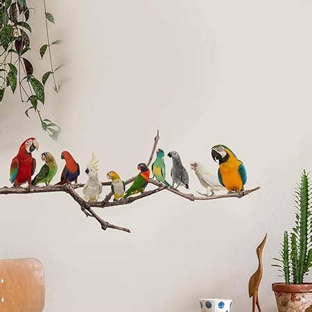 JAAMSO ROYALS Vinyl Colorfull Birds Sticker For Wall, Wall Design ...