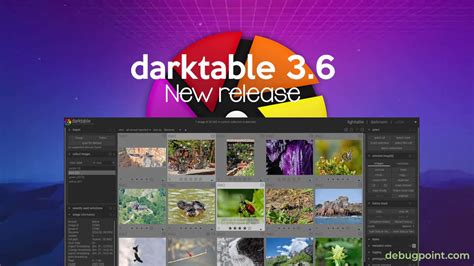 Image result for Darktable 3.8 Tutorial Light Table