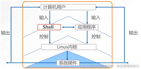 shell编程 - 知乎