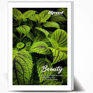 SPEED 268 Pages Semi Rough A4 Note Book | Pack of 6 | Single Line Ruled ...