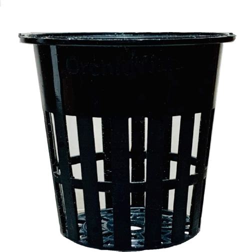 WE Hydroponics Oasis Cubes - Box of 40 Cubes, Soil Less Germination ...