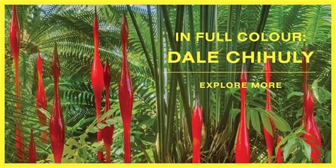 In Full Colour: Dale Chihuly, Adelaide Botanic Garden, 7 November 2024 ...