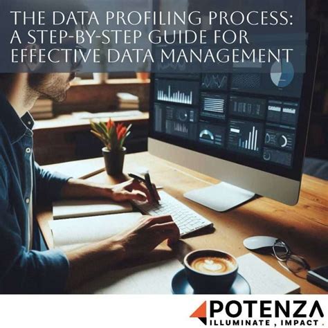 Image result for Data Profiling Process Inmon