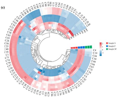Effect of Corynebacterium glutamicum Fermentation on the Volatile ...