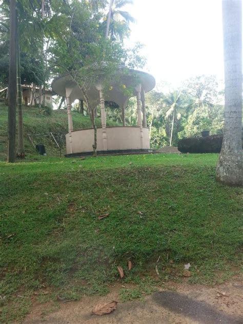 RAJANAWA RESORT (Ratnapura) - Hotel Reviews & Photos - Tripadvisor