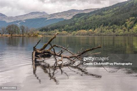 Floating Log 的图像结果