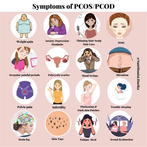The four types of pcos you need to know about and how to get diagnosed ...