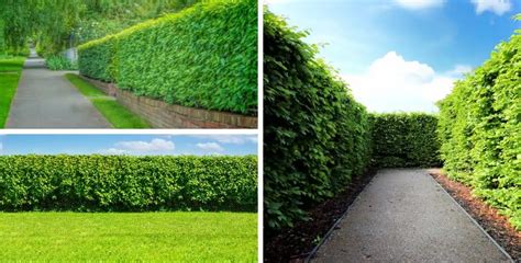 Image result for How to Eedit Python Shortcut Key