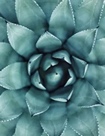 Obituary Listings | Dimery and Rogers Funeral Home