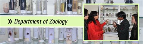About Zoology Department