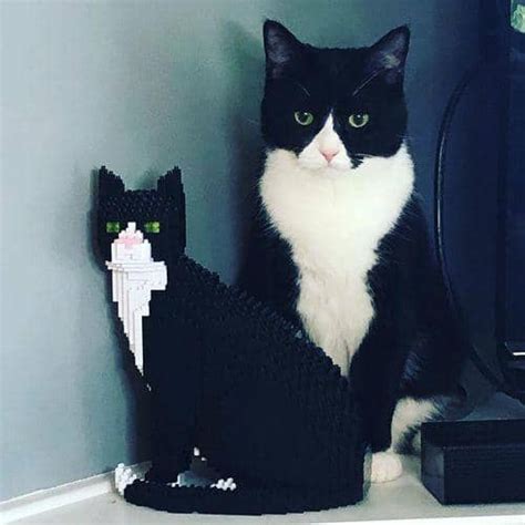 Image result for Cat in Rust Kit