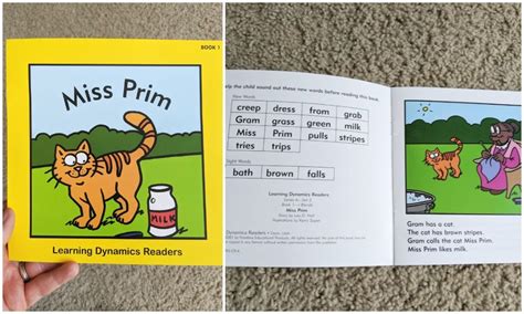 Image result for Learning Dynamics