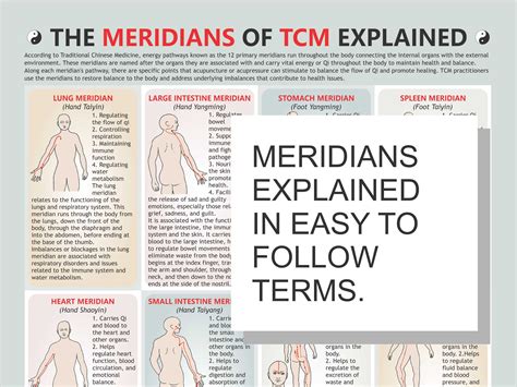 Printable 12 Meridians Chart - Printable Free Templates