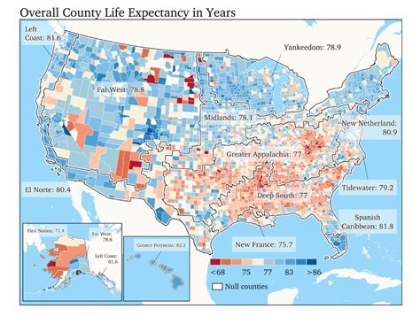 Image result for Life Expectancy by County Map