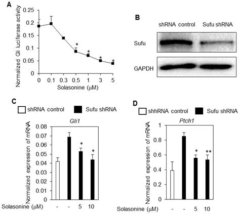 Solasonine, A Natural Glycoalkaloid Compound, Inhibits Gli-Mediated ...