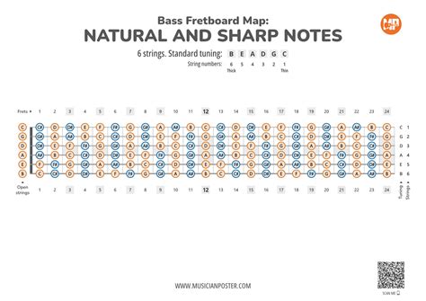 Image result for 6 String Bass Notes Chart