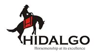 Corporate Logo Case study hidalgo